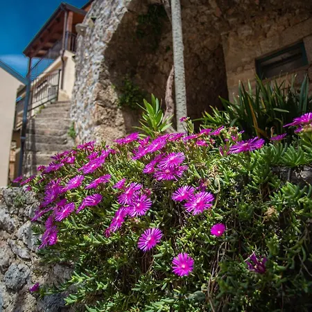Parona Holiday Vrbnik